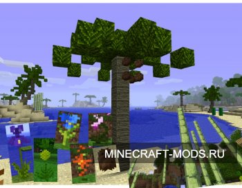 Tropicraft [1.4.2]